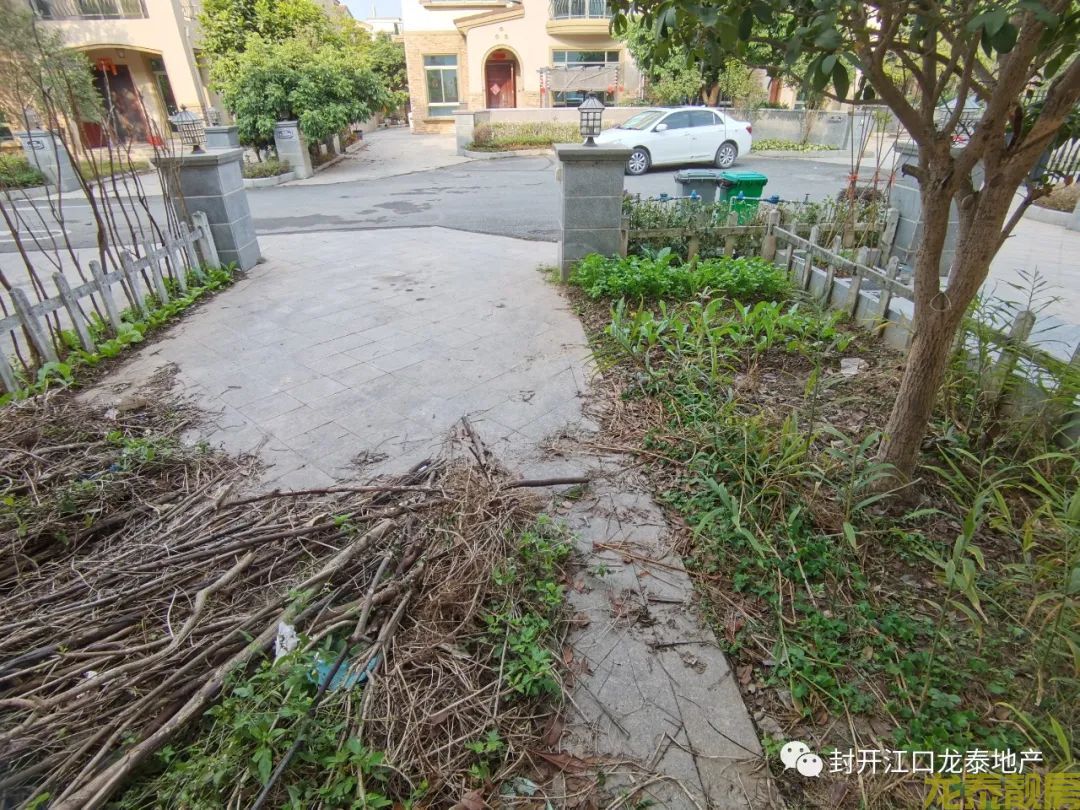 别墅 别墅 碧桂园别墅精装未入住