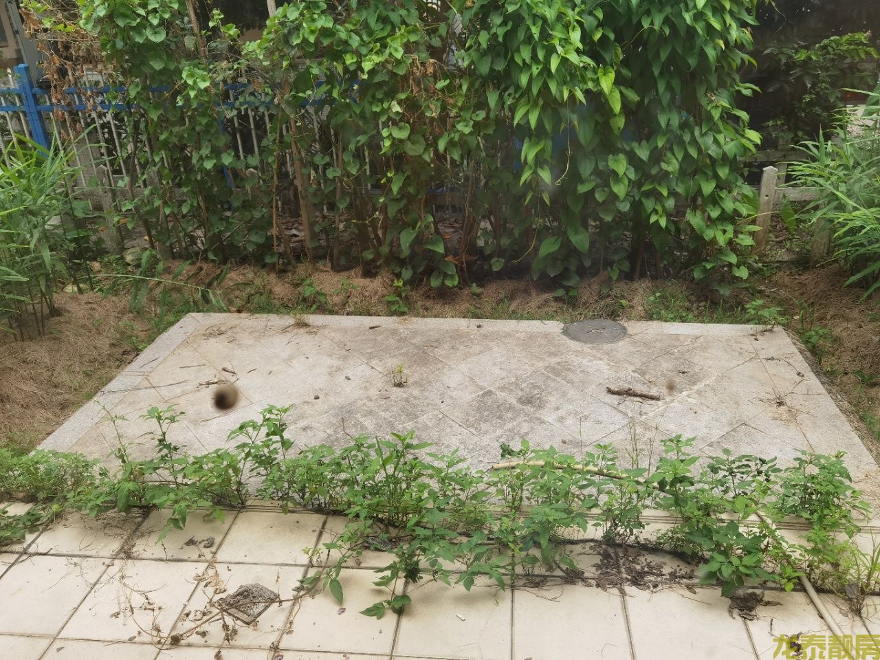 碧桂园别墅超笋价出售